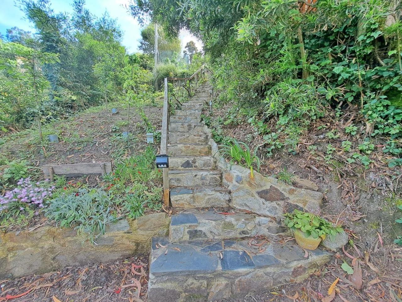 Cabana Pia Paxaro Villa Nigrán Esterno foto